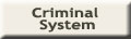 Criminal System