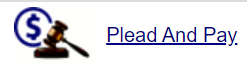 Plead and Pay