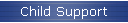Child Support