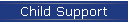 Child Support