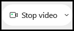 Webex Help: Stop Video
