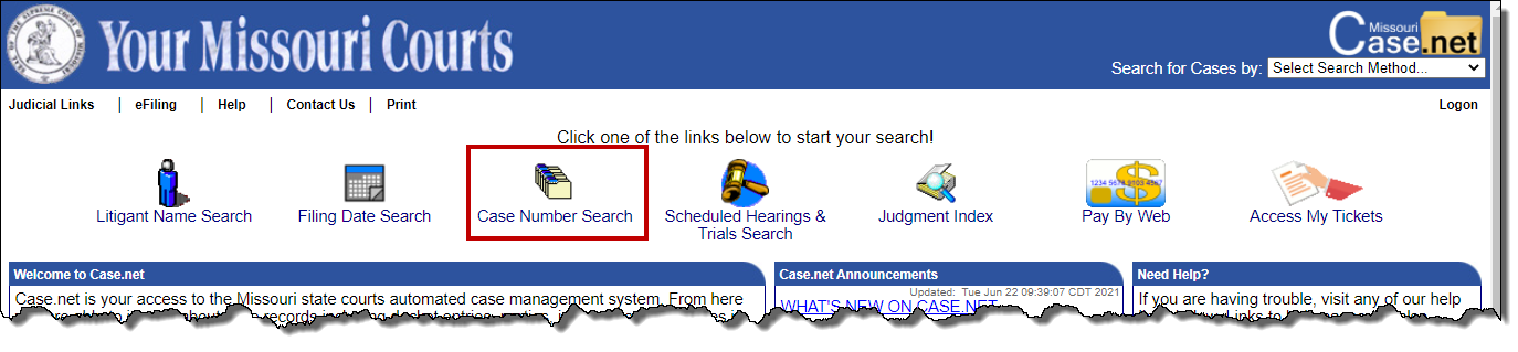 Case Number Search image